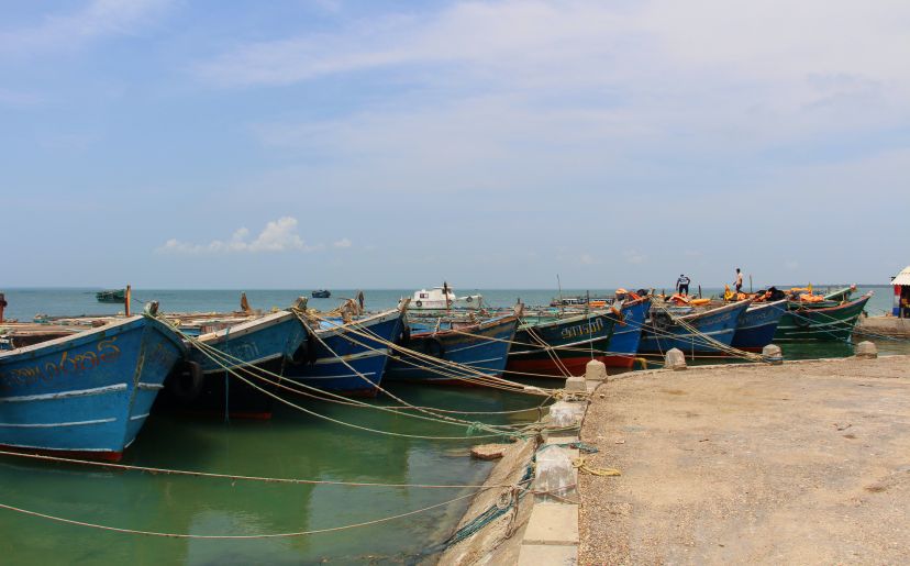 pasan-tilakawardana-jkaLhUQhHO0-unsplash.jpg