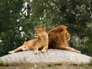 Varšuvos zoo