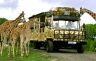 Vokietija. Serengečio parkas (1).jpg