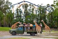 Serengečio safario parkas
