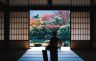 masaaki-komori-qwPSnBvdhtI-unsplash.jpg