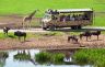 Vokietija. Serengečio parkas (14).jpg